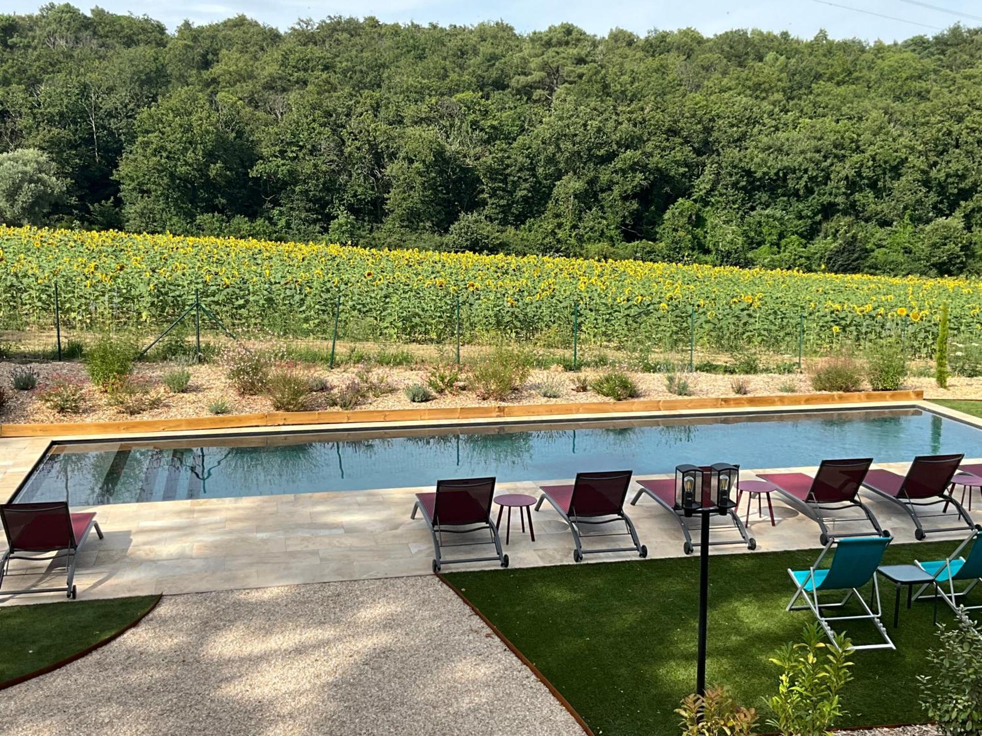 Sans Souci Bed And Breakfast Luxe Heated Pool And Restaurant Luzillé Exterior photo